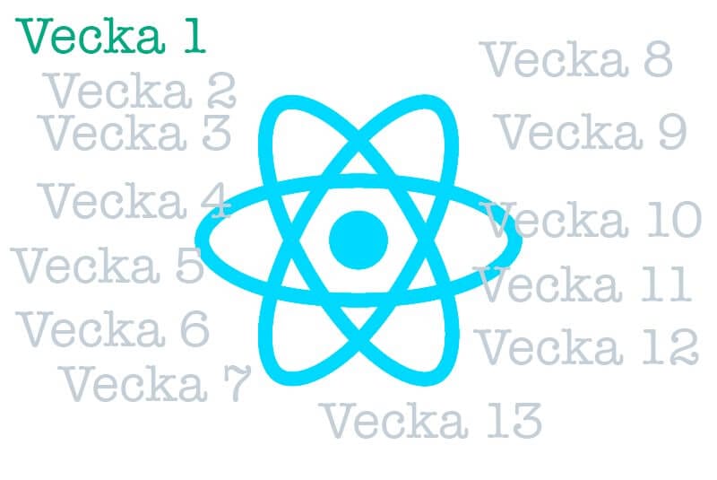 3 months with react js
